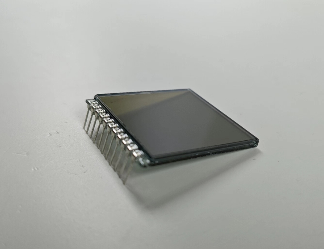 Positives Zifferbildschirm FSTN 6 O Clock benutzerdefiniertes Transmissiv-LCD-Display TN-Lcd-Modul