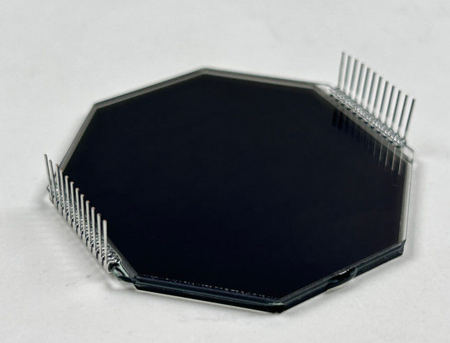 angepasste Matrix HTN-LCD-Bildschirm Acht-Form-Monochrom 7-Segment-Grafik-LCD-Bildschirm für Motorrad-Instrumente