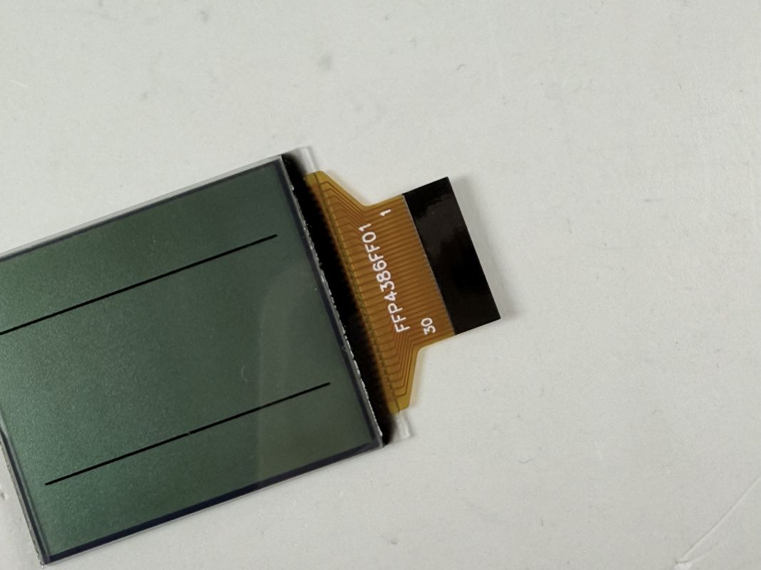 Benutzerdefinierte FSTN Schwarz -Weiß -LCD -Anzeige | Monochromsegment LCD für industrielle und elektronische Anwendungen