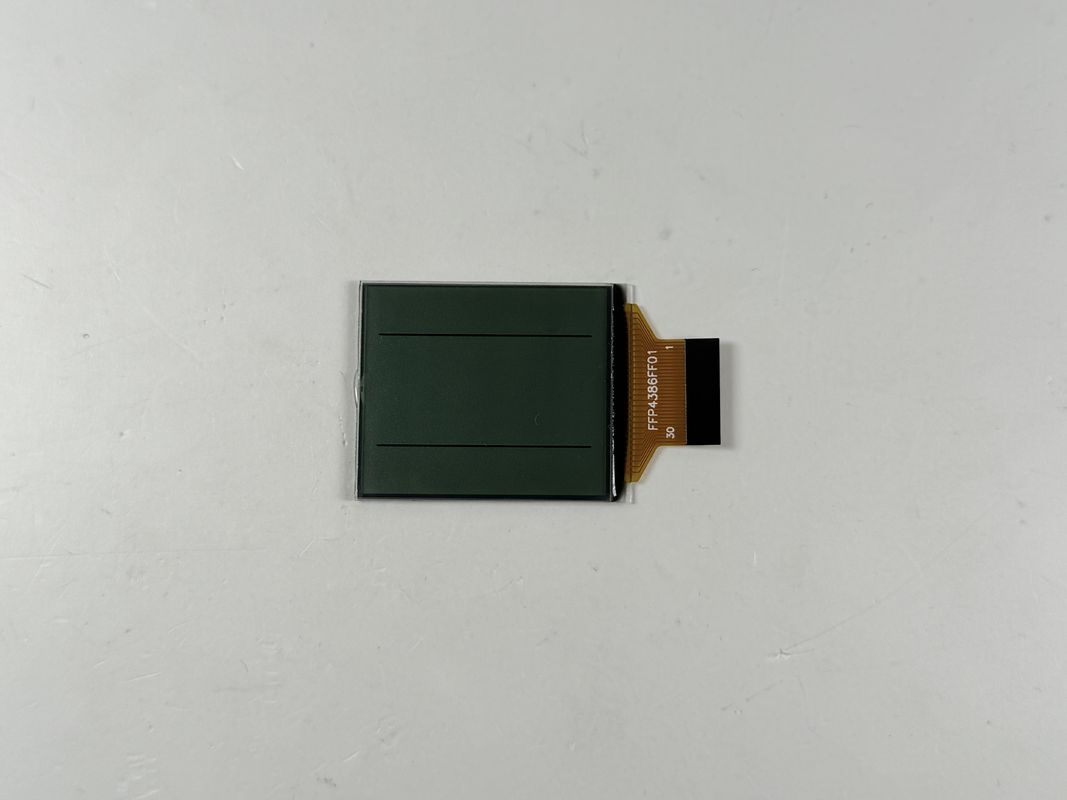 Benutzerdefinierte FSTN Schwarz -Weiß -LCD -Anzeige | Monochromsegment LCD für industrielle und elektronische Anwendungen